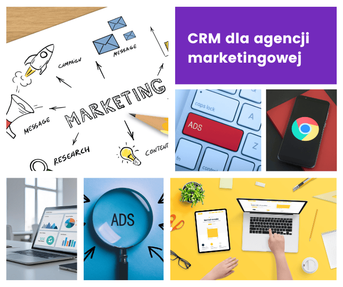 CRM-Herausforderungen in der Marketingagentur Wild Moose